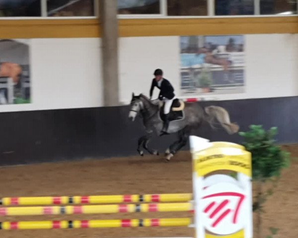 Video von Lady Levis hgl