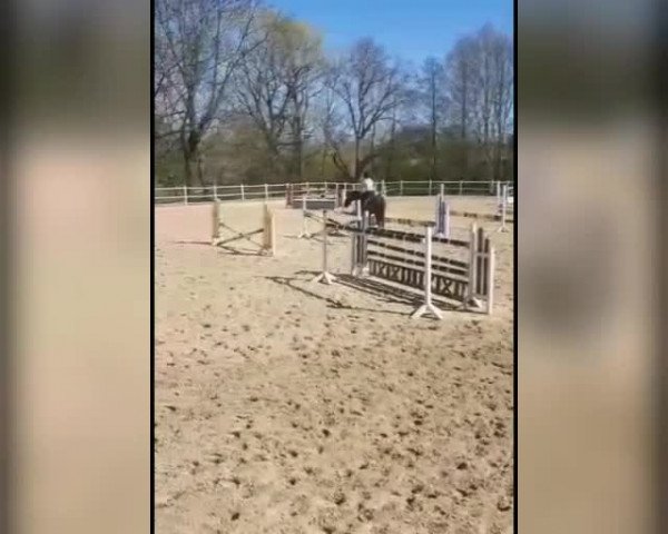 Video von Santiana xx