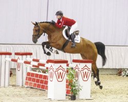 jumper Baloa 2 (Westphalian, 2011, from Balou du Rouet)