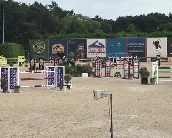 Video von Tailormade L'Aveu