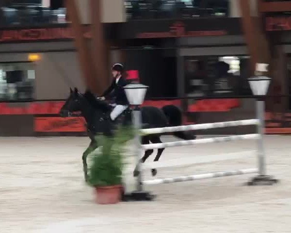 Video von Tailormade L'Aveu