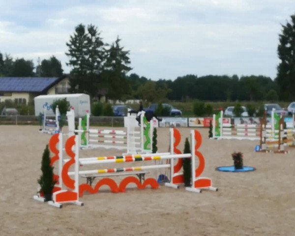 Reitturnier Fröhnerhof 2019