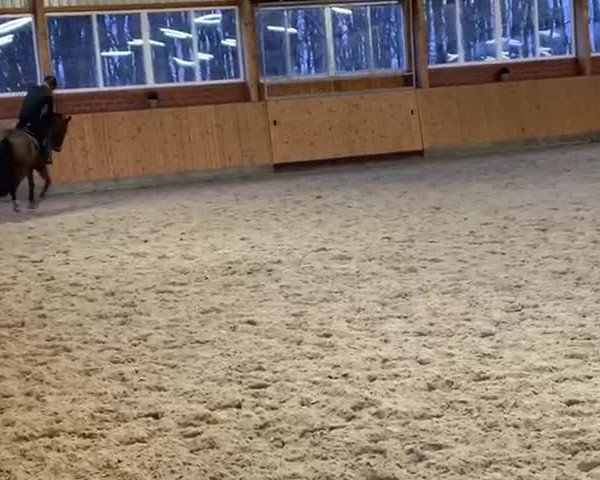 Video of Sambucu K