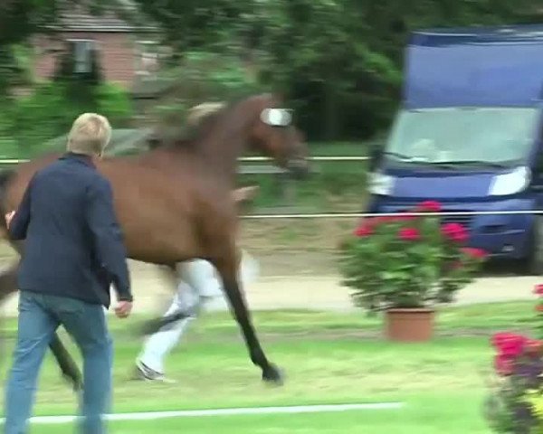 Video of Gitania II