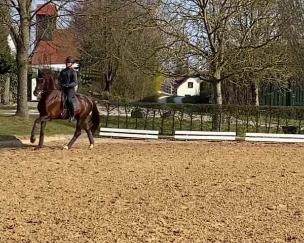 Video of DSP VA Bene