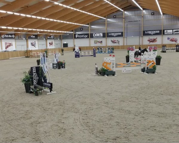 Reitturnier Riesenbeck 2020