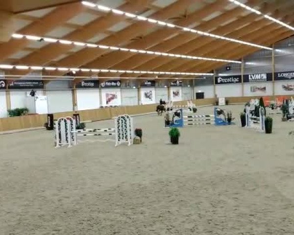 Reitturnier Riesenbeck 2019