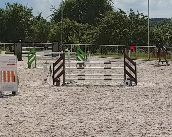 Reitturnier Dettingen/Albuch 2019