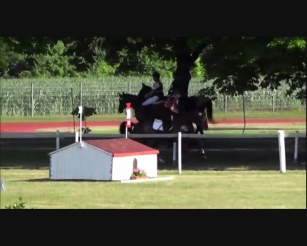 Video of Cortina 208