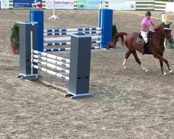 Reitturnier Aesch bei Neftenbach 2019