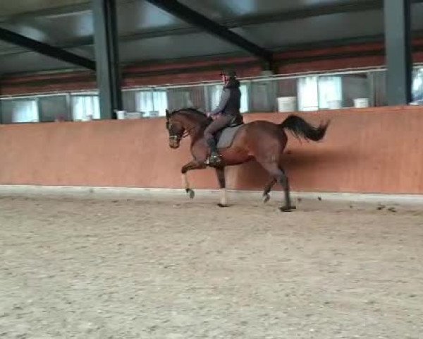 Video von Bonita JB