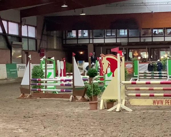 Video of Dromore Lad
