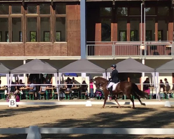 Video of Monaco M