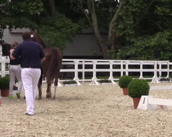 Video of Flame of Magic 4