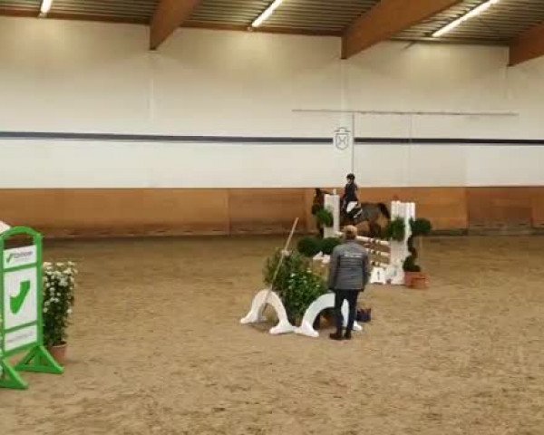Reitturnier Elmshorn 2020