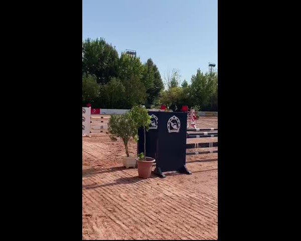 Video of Erdballfee