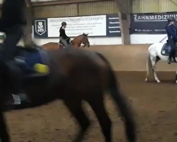 Video von Calmina
