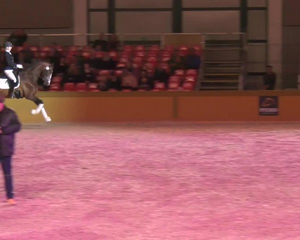 Video of Johny Johnson