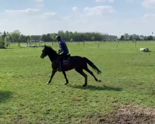 Video of Dakabi K.b.