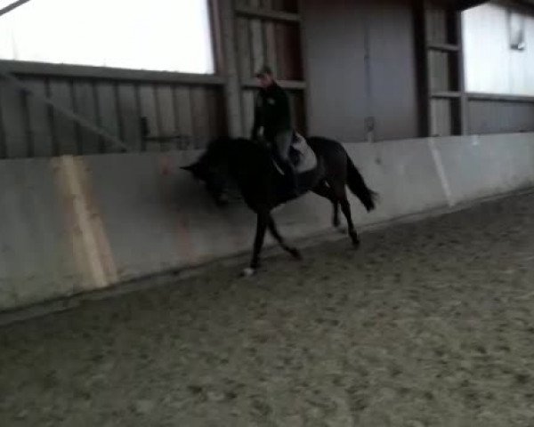 Video of Dakabi K.b.