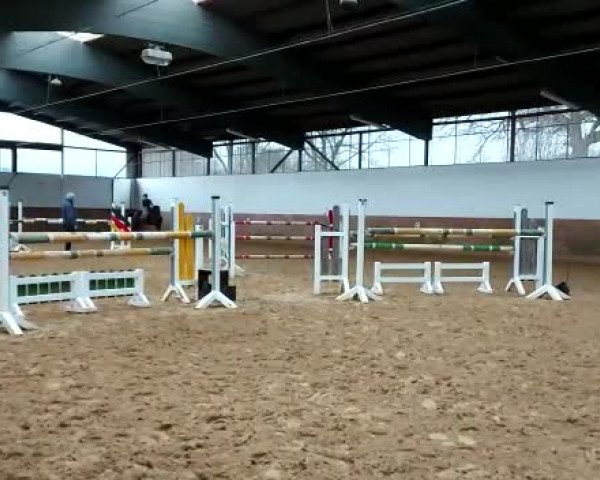 Video of Carlotta Vf