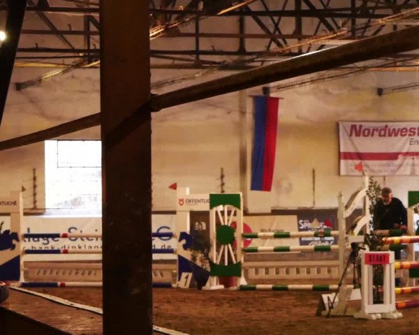 Video of Duke of Duncan MK
