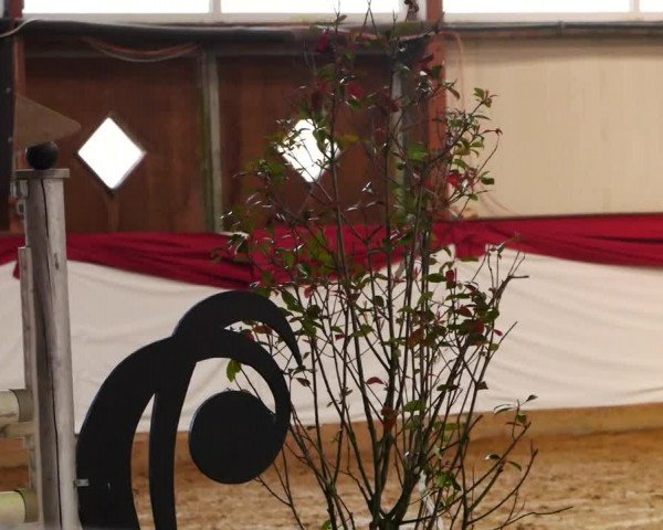 Video of Caept'n Hook