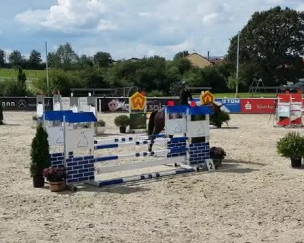Video of FBW Nikita W