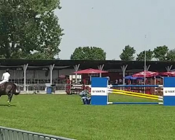 Video of FBW Nikita W