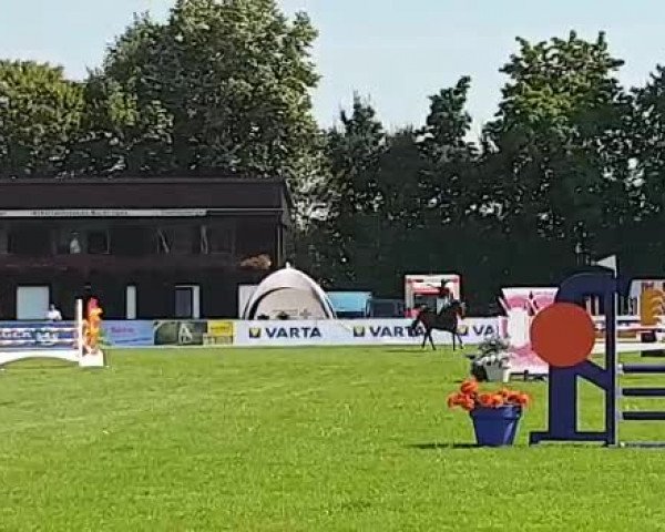 Video of FBW Nikita W
