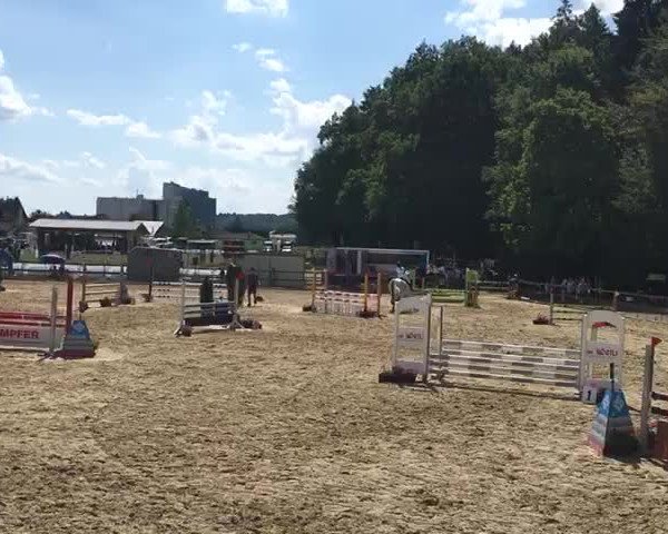 Reitturnier Herzogenbuchsee 2019