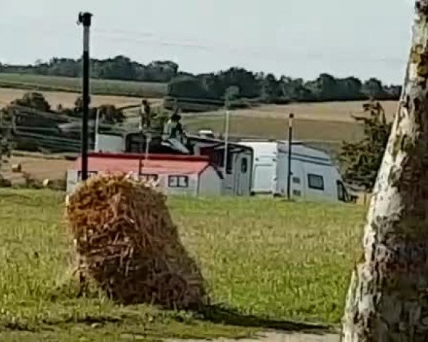 Reitturnier Nußdorf 2017