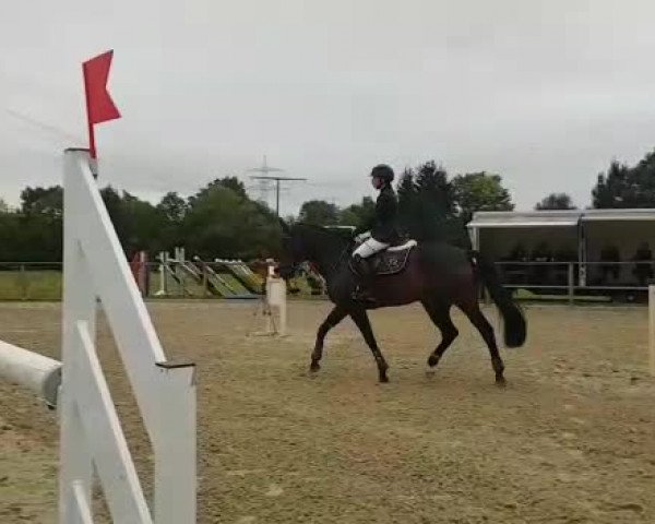 Reitturnier Ludwigsburg-Monrepos 2019