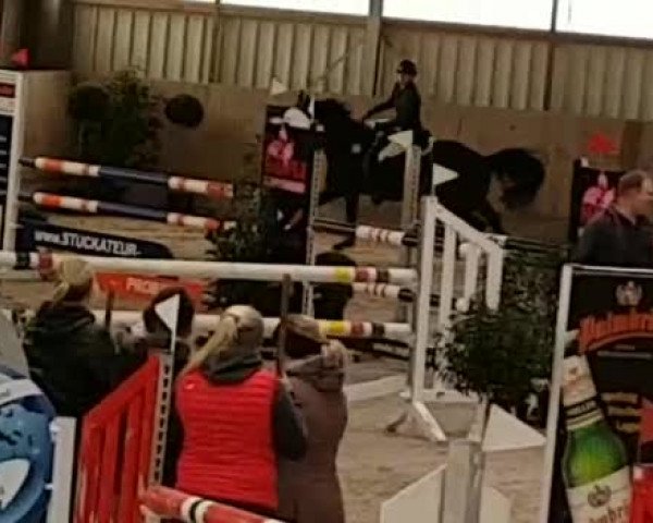 Reitturnier Birkenhof-Eppingen 2020