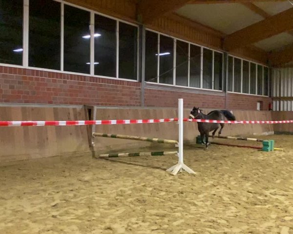 Video of Bubble Luna