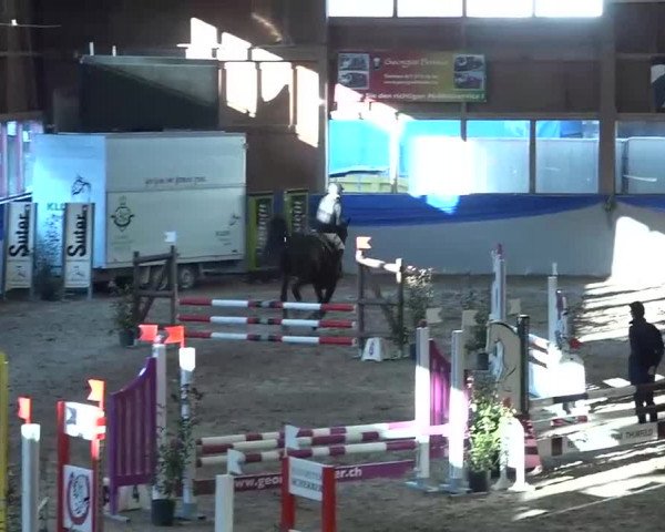 15. Hallenconcours Sulgen 2018