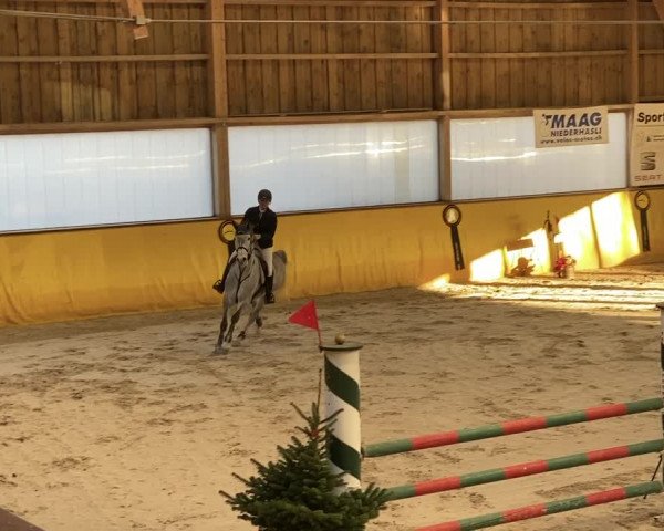 Video of Cavaletto Loma Z