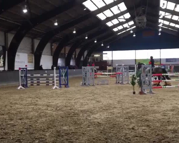 Video von Gina Wild 7