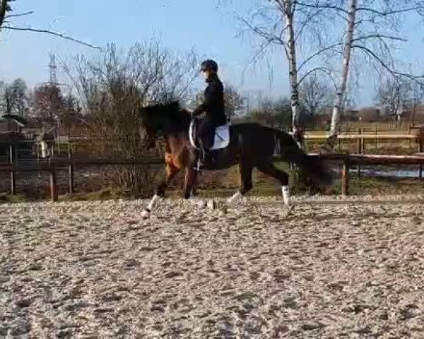Video von Dimitri DiCaprio