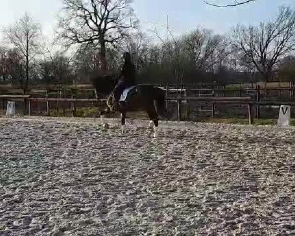 Video von Dimitri DiCaprio