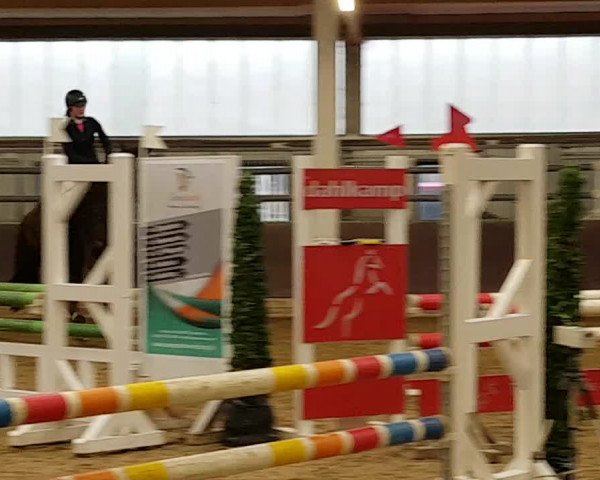 Reitturnier Olfen-Vinnum 2020