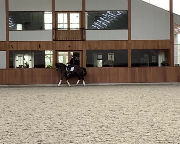 Video von Heartbeat