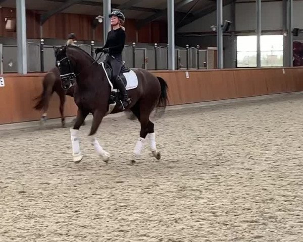 Video von Heartbeat