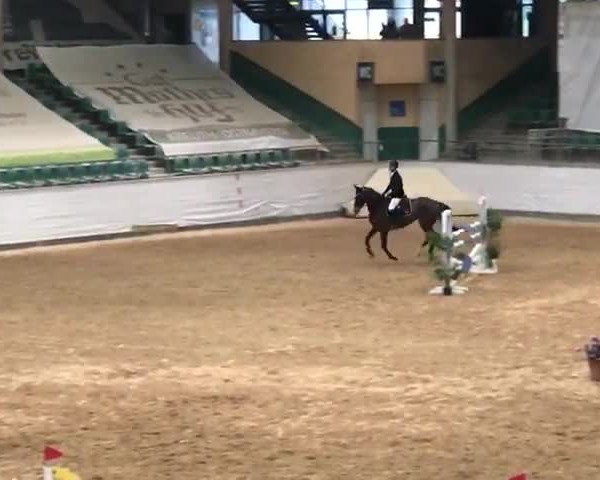 Video von Cinderella O