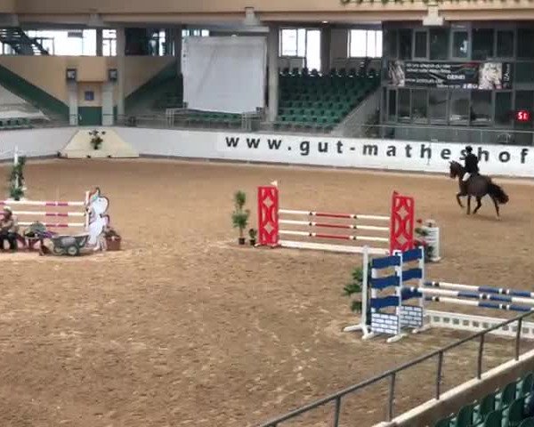 Video von Cinderella O