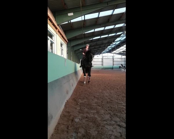Video of Bonham Woods
