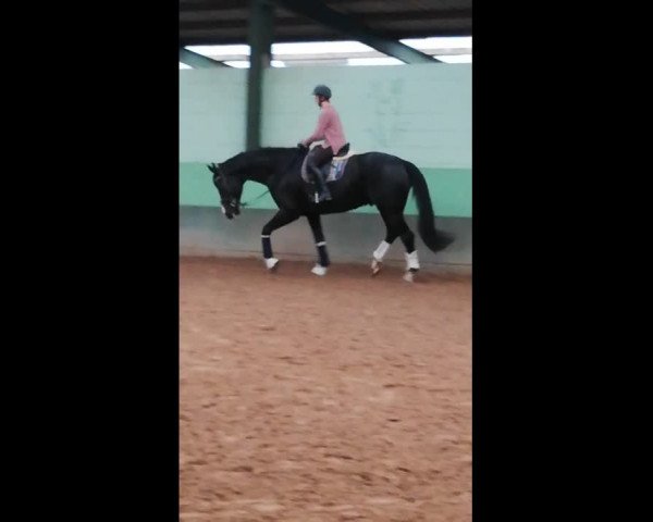 Video of Bonham Woods