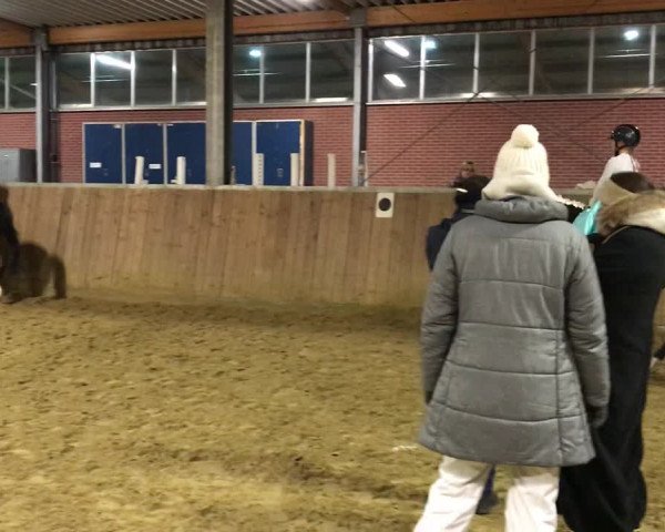 Video of Bubble Luna