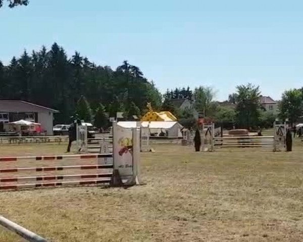 Video von Eddi