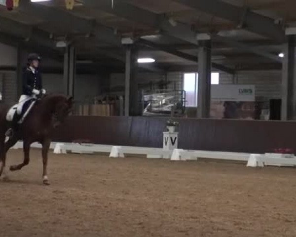 Video of Fürstin Felice